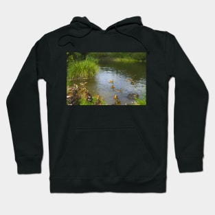 Ducks on the lake Hoodie